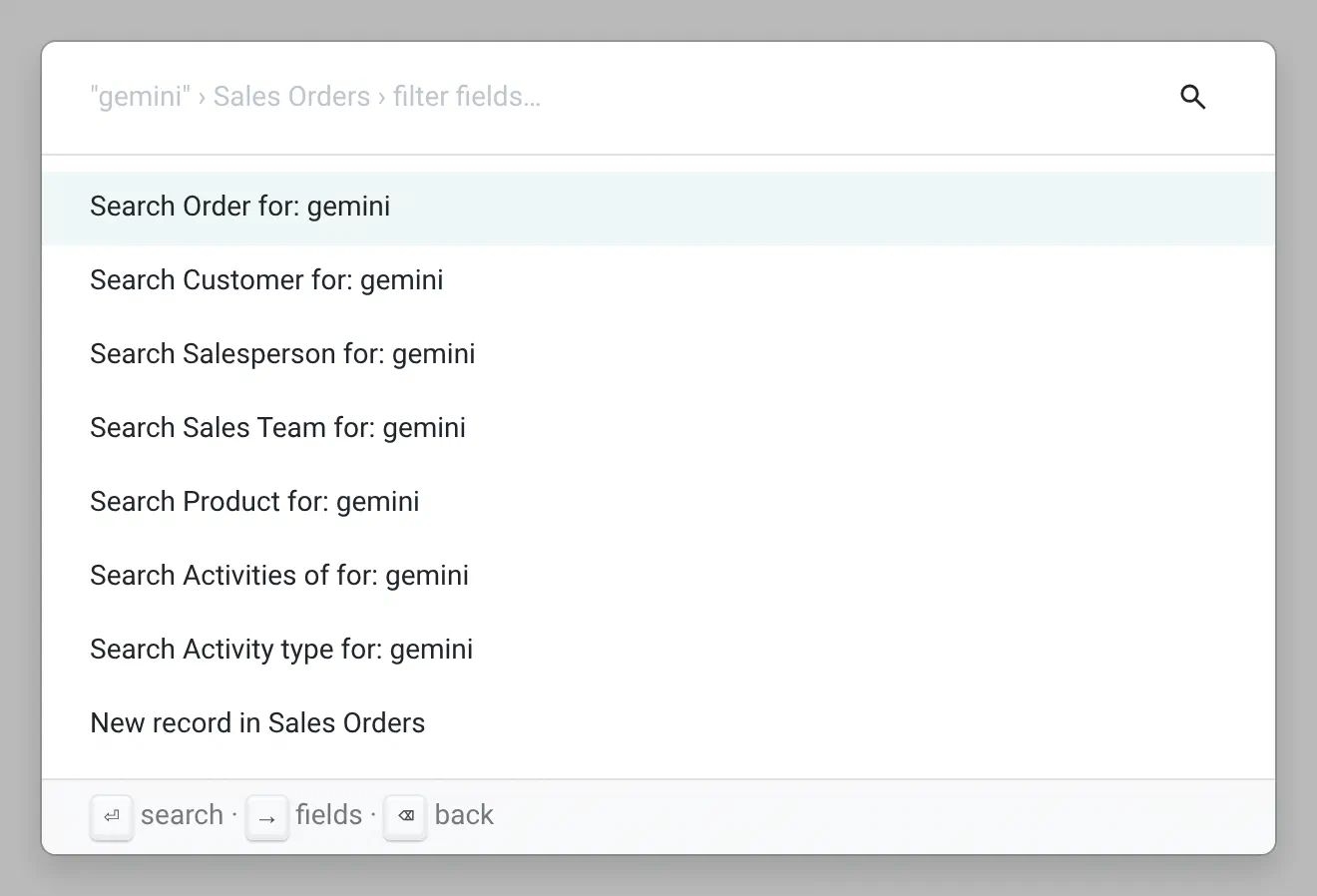 The fields to search sales orders by: order, customer, salesperson, sales team and product